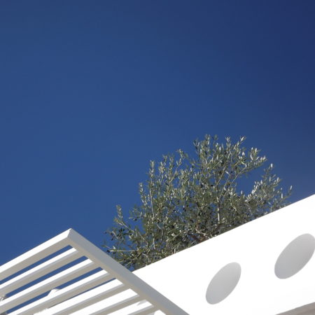 olivier-bleu-lesprit-mediterrannée-la-cigale-vista-beach